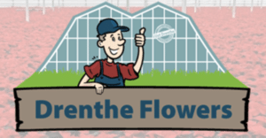 Bekijk het profiel van Drenthe Flowers